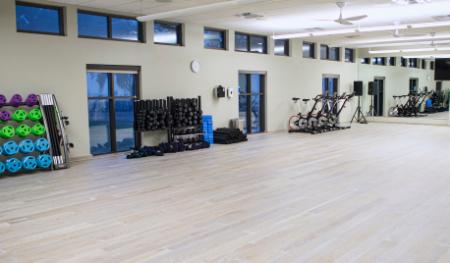 Gym Flooring High Quality Fitness, Hardwood Floor Gym